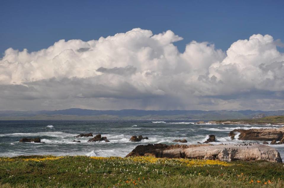 Clouds hang over the north Diablo Canyon lands along the Pecho Coast looking northward toward Montana de Oro State Park and Morro Bay.