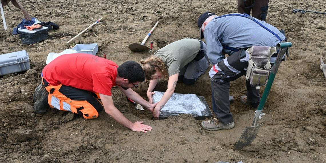 Explorador con detector de metales tropieza con antiguo tesoro en el lugar más inesperado