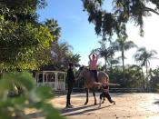 <p>Es kombiniert Meditation, Yoga und Reittherapie auf eine Weise, die für Pferd und Reiter sicher ist. Foto: Quelle / Spirit Horse Yoga </p>