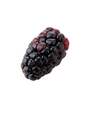 1. Black Rasberries