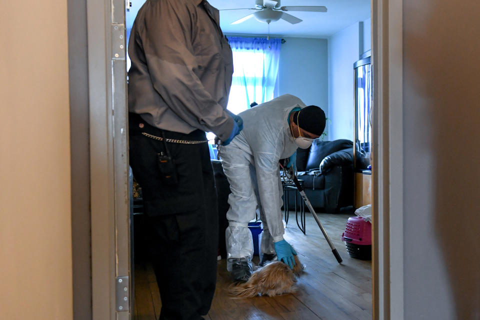 Feraz Mohammed, quien trabaja para los Centros de Cuidado Animal de la ciudad de Nueva York, acaricia a un perro mientras lo recoge en el apartamento de una residente que fue hospitalizada con síntomas de coronavirus, en Nueva York, el 15 de mayo de 2020. (Desiree Rios/The New York Times)