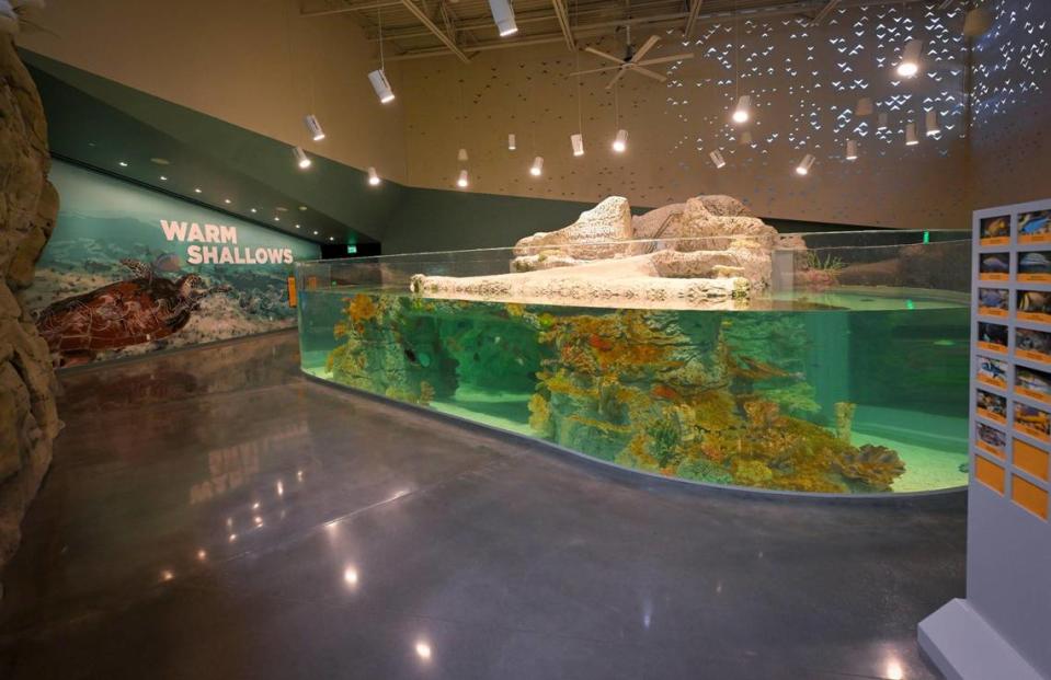 The Warm Shallows exhibit at the new Sobela Ocean Aquarium.