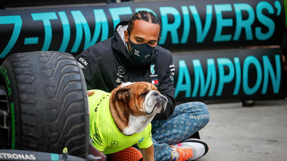Lewis Hamilton with his dog Roscoe at last year’s Turkish Grand Prix. - Credit: Photo by Hasan Bratic/picture-alliance/dpa/AP Images.