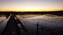 <p>SURREY, BC - NOVEMBER 16 : Aerial view of flooded farms in Surrey, British Columbia on November 16, 2021. (Photo by Mert Alper Dervis/Anadolu Agency via Getty Images)</p> 