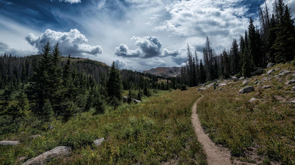  A trail in Colorado. 