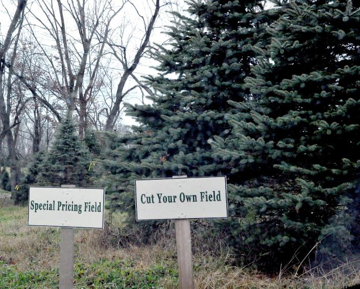 A sign at Pine Tree Barn south of Wooster offers tree shoppers the choice of cutting their own tree, and taking one already cut.