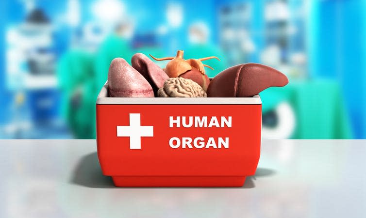 <span class="caption">Organ tourism is hard to track and even harder to stop.</span> <span class="attribution"><a class="link " href="https://www.shutterstock.com/image-illustration/organ-transportation-concept-open-human-refrigerator-632646452?src=IlS9b5rxckOoYmL37XZMbg-1-26" rel="nofollow noopener" target="_blank" data-ylk="slk:shutterstock;elm:context_link;itc:0;sec:content-canvas">shutterstock</a></span>