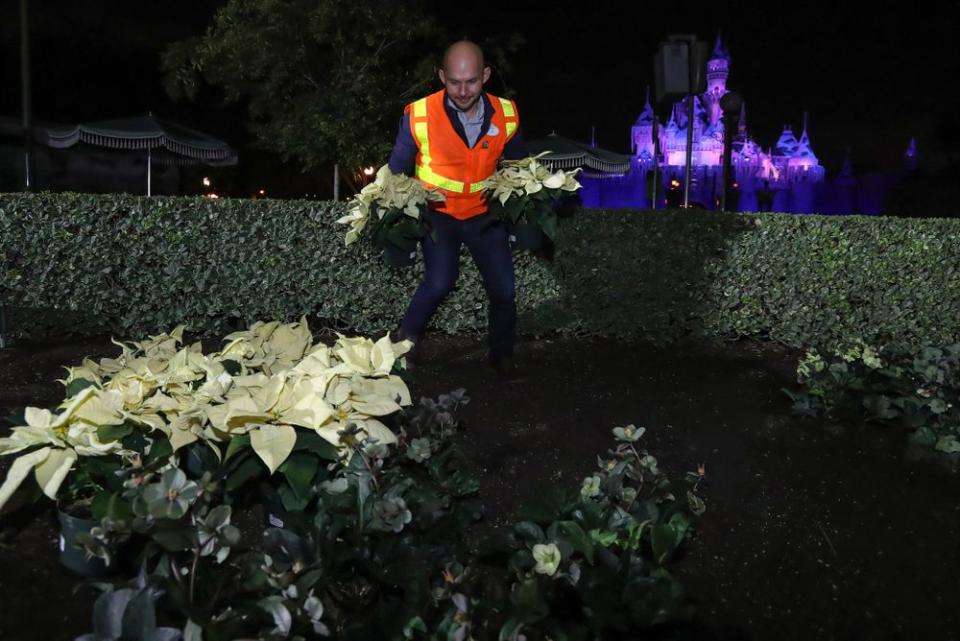 Disney holiday decorations in 2018 | Joshua Sudock/Disneyland Resort