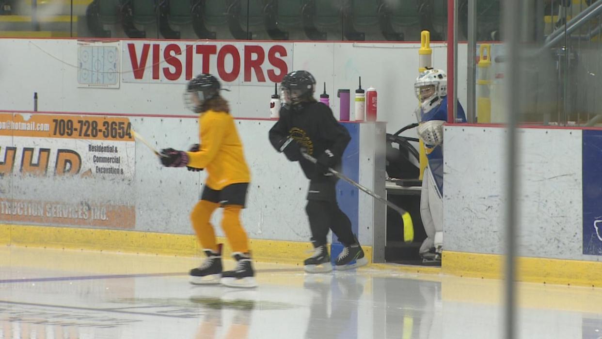 Girls aged seven through 15 from all over Newfoundland and Labrador took part in the hockey training camp this weekend. (Curtis Hicks/CBC - image credit)
