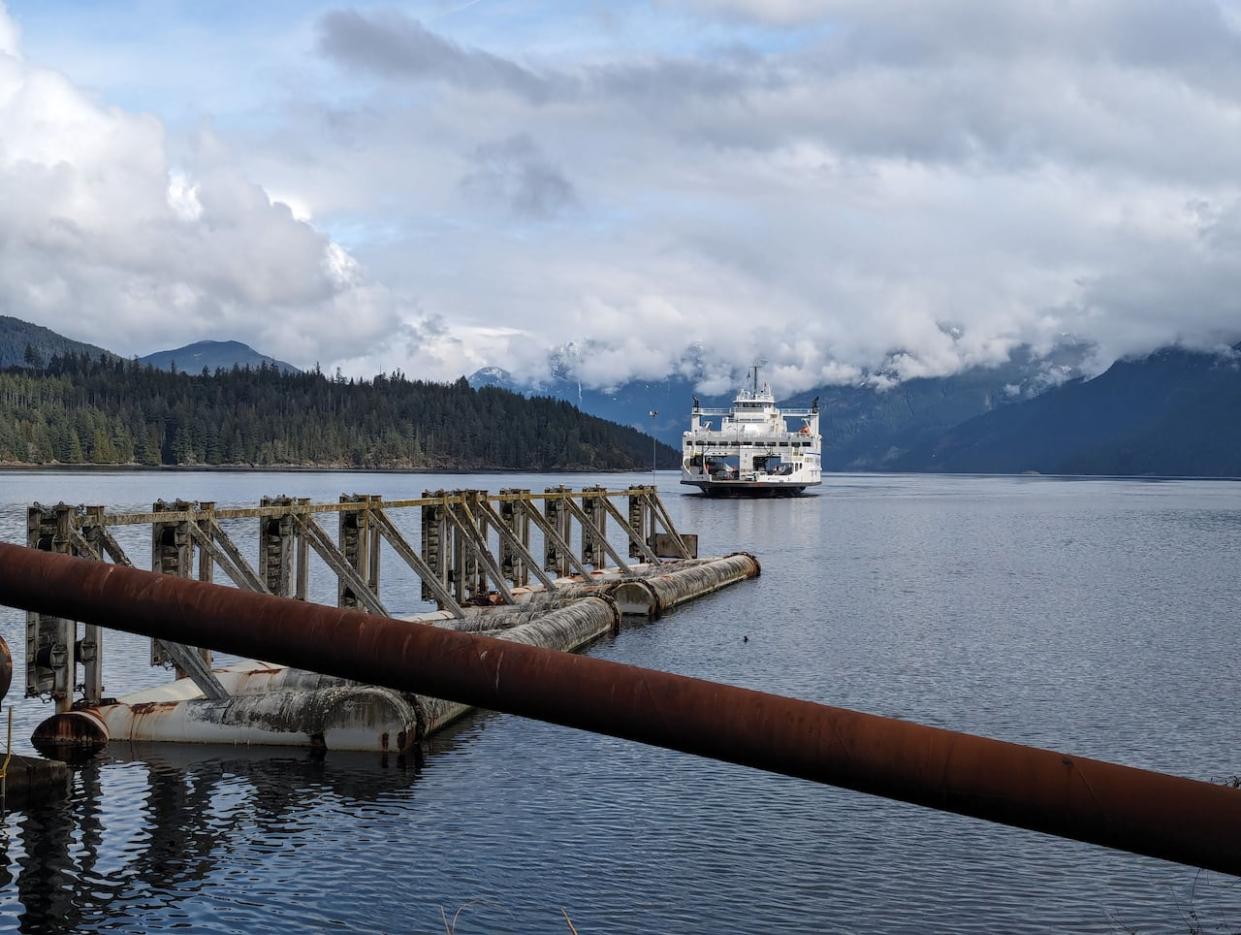 Residents of Powell River are divided over whether the city's name should be changed.  (Madeline Green/CBC - image credit)