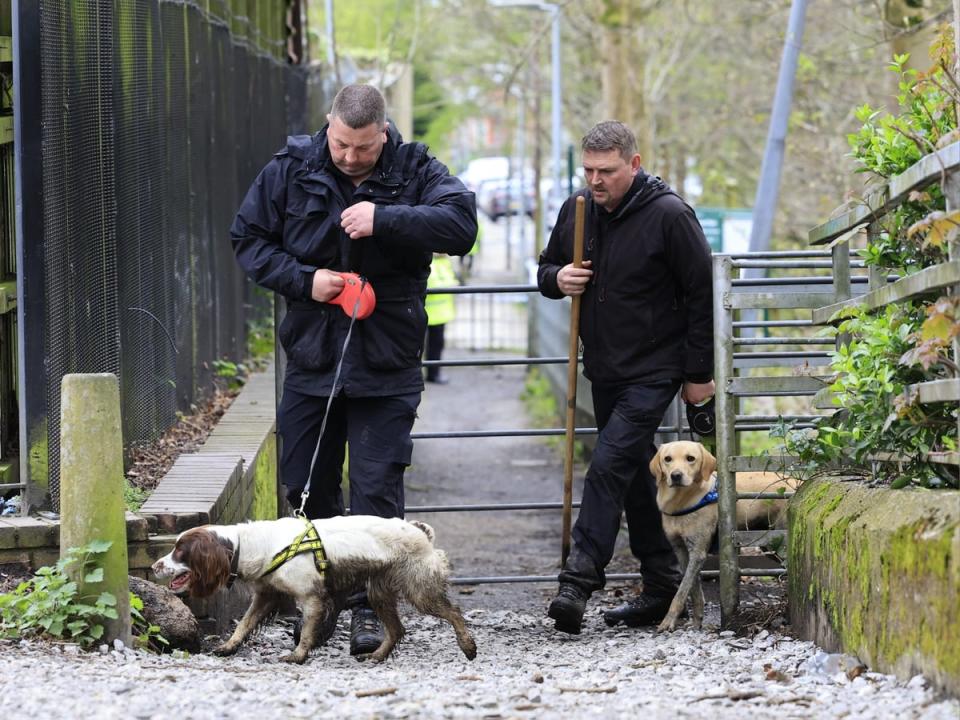 Police dogs scour Colliery Wood (GMP)