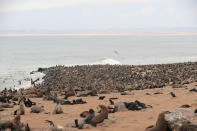 <p>I stopped at Cape Cross, home of the largest colonies of Cape fur seals in the world. Its nickname is “The Smelliest Place on Earth.” (Photo: Gordon Donovan/Yahoo News) </p>