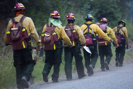 Firefighters are pictured while working on the edge of the Carlton Complex Fire near Methow, Washington July 18, 2014. REUTERS/David Ryder