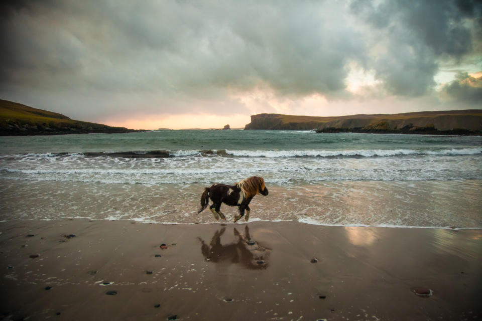 6. Shetland-Inseln