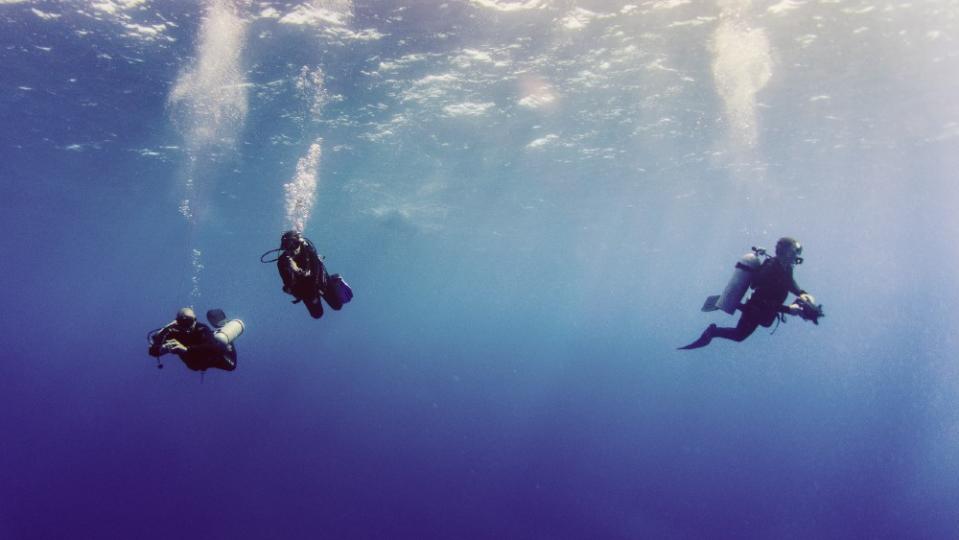 Beneath the surface on a charter. - Credit: Courtesy Gerald Schombs