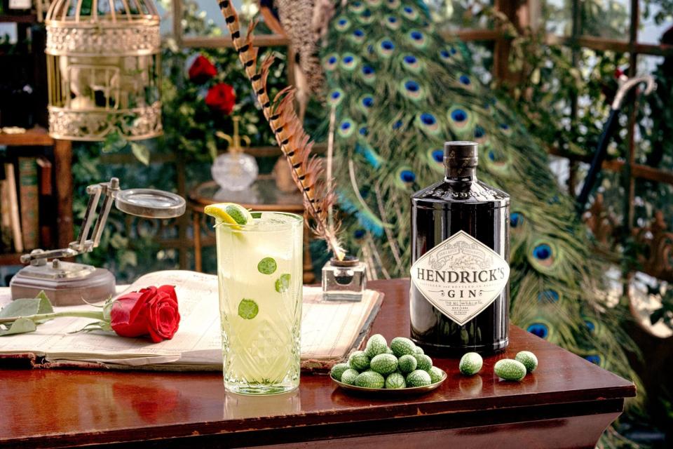 Hendrick’s Curious Cucumber Collection