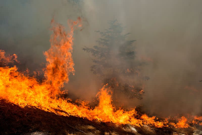 FILE PHOTO: A wildfire burns in the Angeles National Forest during the Bobcat Fire in Los Angeles