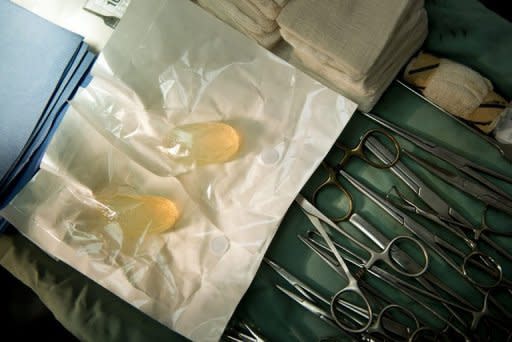 A view of a pair of sterile neuticle implants is seen at the Fulton Animal Hospital in Fulton, Maryland. Dr. Flavia DelMaestro, a veterinarian who established the practice, first performed a neuticle implant after neutering a dog in 2003 and has performed the procedure on her own pet Rottweiler, Bruno