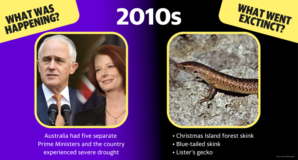 In the 2010s, Australia had five separate Prime Ministers, the country experienced severe drought.  Extinctions: Christmas Island forest skink, blue-tailed skink, lister’s gecko 