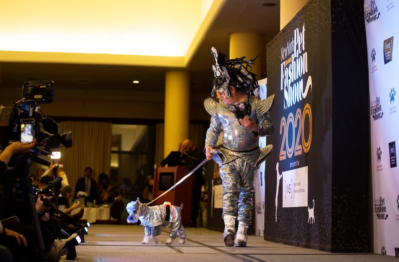 A man walks a dog across the runway stage at the 17th annual New York Pet Fashion Show