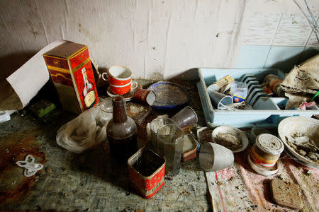 Disused kitchenware sits inside an abandoned house, which was damaged by shelling not far from Donetsk airport, in Donetsk, Ukraine, November 1, 2017. REUTERS/Alexander Ermochenko