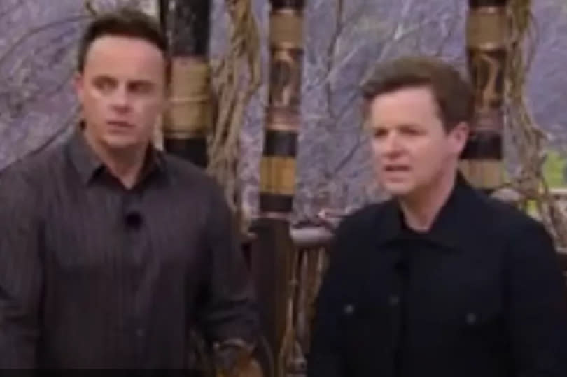 I'm A Celebrity's Ant and Dec