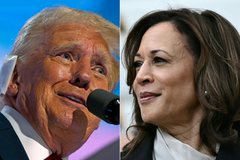 Montaje fotográfico de Donald Trump en Milwaukee el 18 de julio de 2024 y Kamala Harris el 22 de julio de 2024 (Nick Oxford)