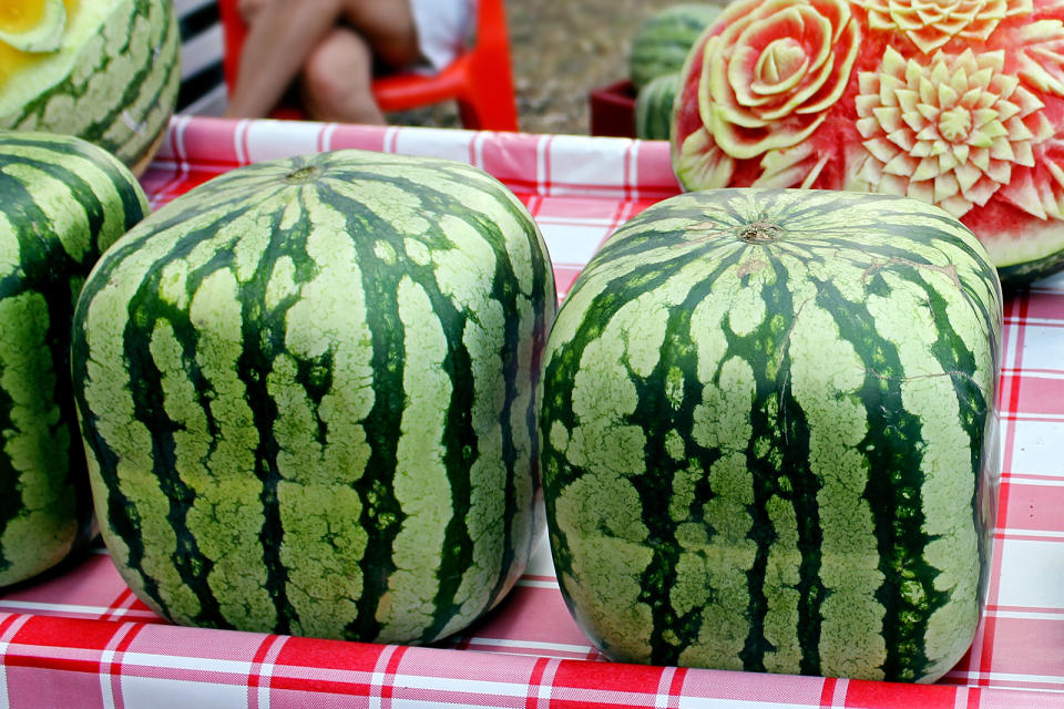 Cubic, square watermelons.