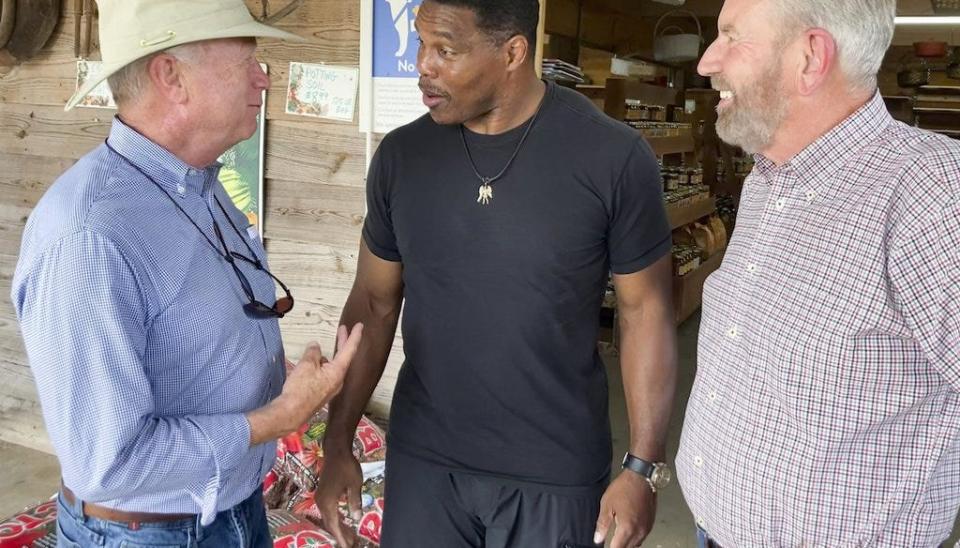 From left: Georgia state Sen. Butch Miller, Republican Senate candidate Herschel Walker and former state Rep. Terry Rogers enjoy a conversation in Alto, Ga.
