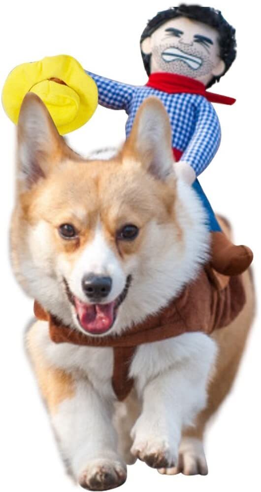 Get this <a href="https://amzn.to/343wiCm" target="_blank" rel="noopener noreferrer">NACOCO Cowboy Rider Dog Costume for $13</a> (normally $25) at Amazon. It's available in sizes XS-L and has an adjustable strap.