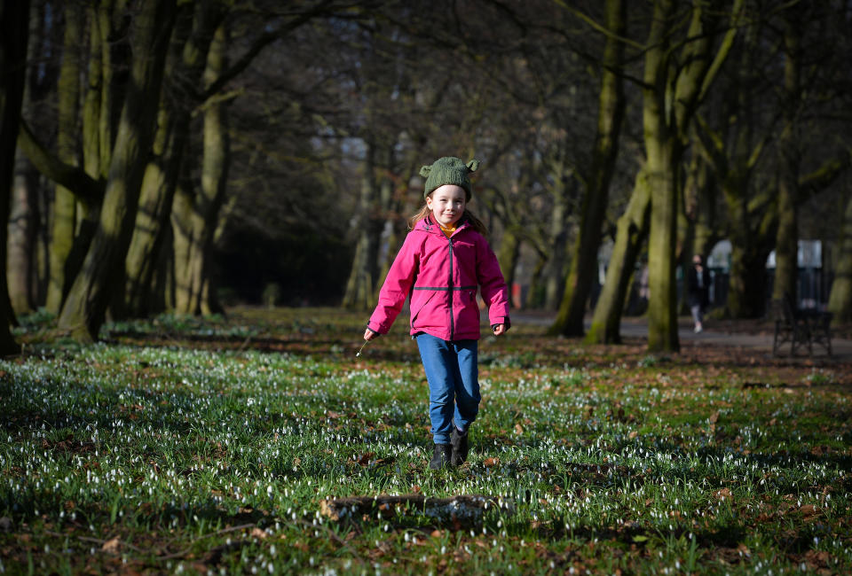 <p>Leicester, Leicestershire, UK 13th Feb 2021. UK Weather. Effie Young, 7, sits amongst the snow drops in Abbey Park in Leicester as some early signs of spring begin to show. Alex Hannam/Empics</p>
