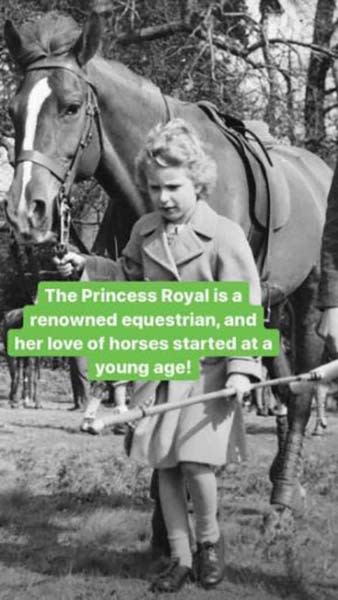princess-anne-horses
