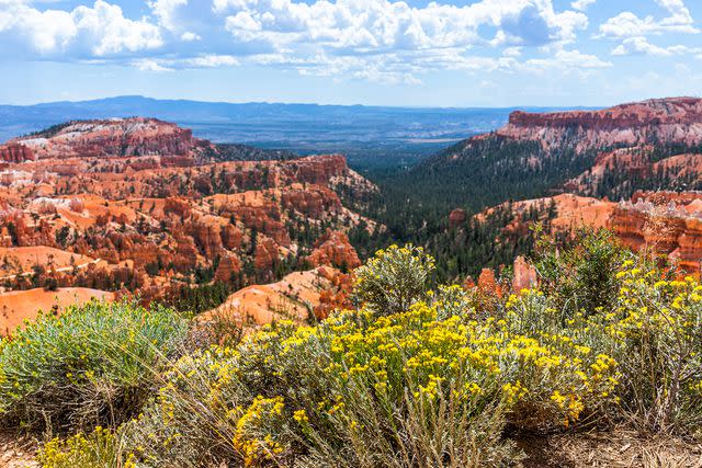 <p>krblokhin/Getty Images</p> Springtime in Bryce Canyon National Park, looking out from Sunset Point.