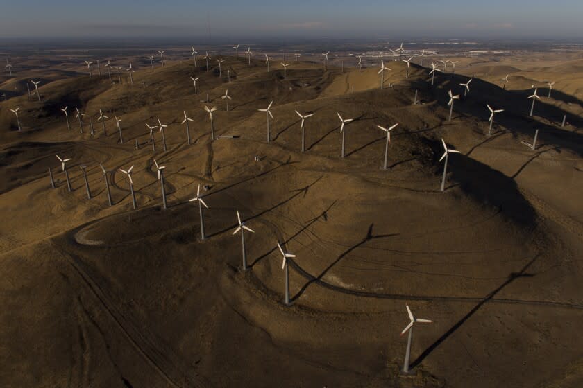 Turbinas de viento que generan energía eólica en Livermore (California), en foto del 10 de agosto del 2022. Las energías renovables recibirán un gran impulso en una ley a punto de ser aprobada por el Congreso de EEUU. (AP Photo/Godofredo A. Vásquez)