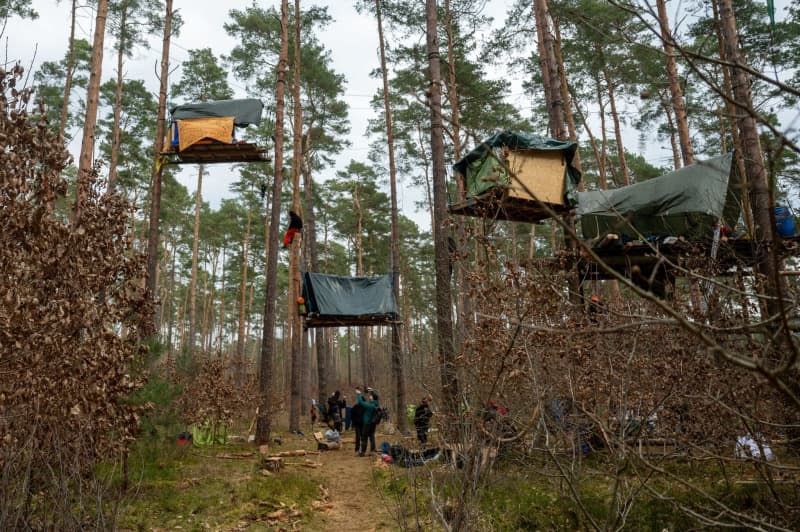 Activists stand in a wooded area near the Tesla factory and set up a protest camp against Tesla's planned expansion outside Berlin. Christophe Gateau/dpa