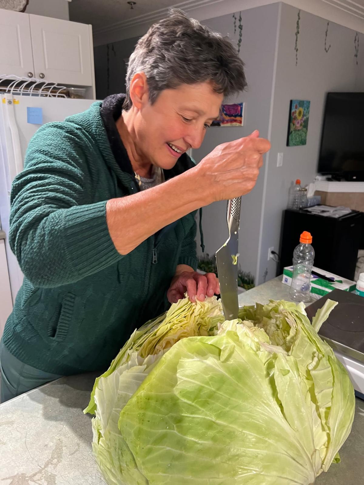 Munched by rabbits, stolen by thieves: Cabbage competition breaks ground in N.W.T.