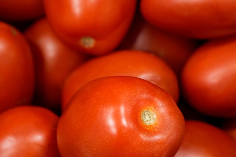 Most warm season crops like tomatoes, squash, peppers, eggplant and others should be seeded indoors about 6-8 weeks before the last frost.