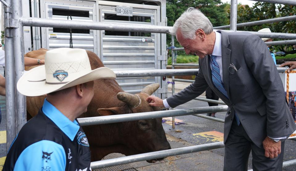 Winston Salem Mayor Allen Joines visits bull Dang It while Carolina Cowboys PBR team manager Jerome Davis looks on. Joines gave the bull and members of the bull riding team honorary citizenship on Thursday to kick off the teams first home event on Sept. 9, 10 and 11.