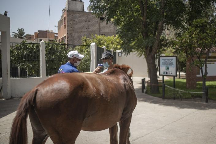 A horse owner has his temperature taken at the headquarters of SPANA shelter for animals, in Marrakech, Morocco, Wednesday, July 22, 2020. Morocco's restrictions to counter the coronavirus pandemic have taken a toll on the carriage horses in the tourist mecca of Marrakech. (AP Photo/Mosa'ab Elshamy)