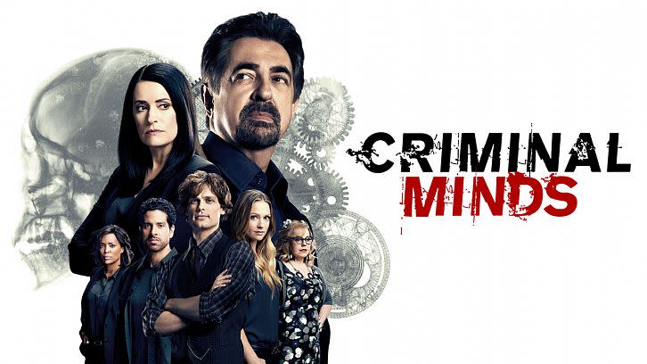 Did US TV show ‘Criminal Minds’ inspire the attackers?