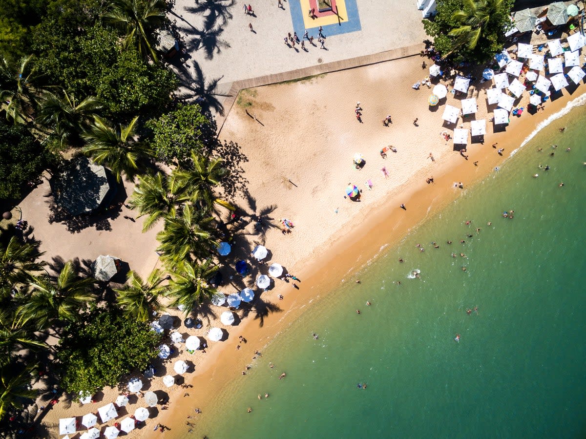 Peppered with parasols amid the local flora and fauna, Praia do Forte also hosts a preservation centre for sea turtles (Getty Images/iStockphoto)