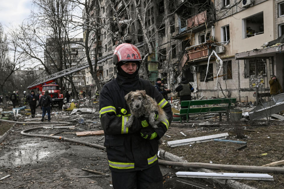 A firefighter rescues a dog (Aris Messinis / AFP - Getty Images)
