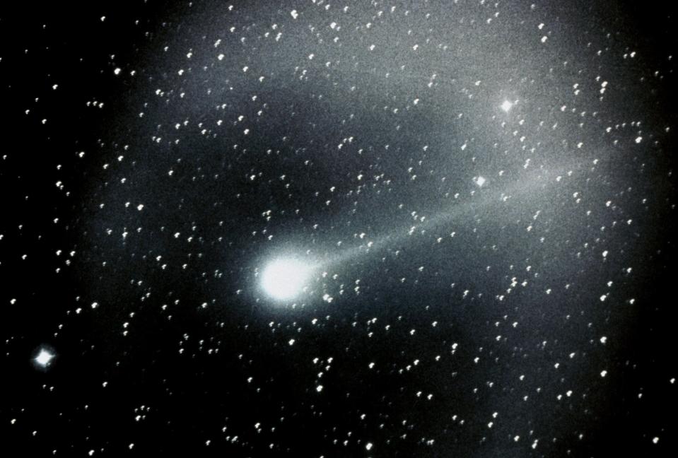 Halley's Comet