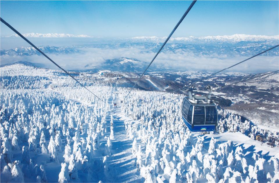 日本旅遊｜藏王樹冰祭2023開催！坐纜車俯瞰七彩樹冰奇觀/雪地車穿梭樹冰林 附一日遊優惠推介