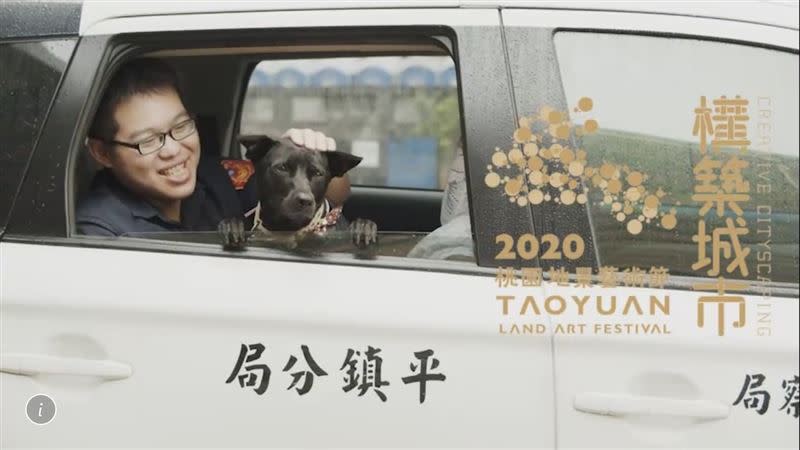 分局其他各單位所飼養的警犬也都是自小就在駐地長大。（圖／桃園市平鎮警分局提供）