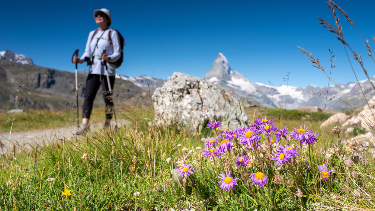  Spring hiking tips: flowers and the Matterhorn. 