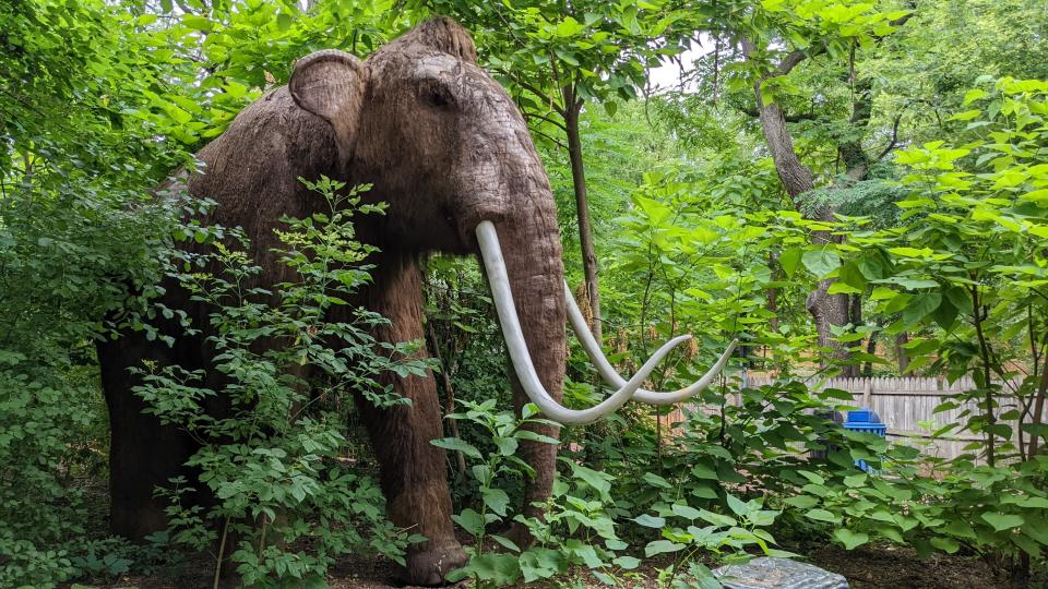 A mastodon is one of the robotic creatures that will be on display at the Milwaukee County Zoo's special exhibit this summer, "Dino Don's Giants of the Ice Age." The species was once common throughout the northern U.S., including New York state.