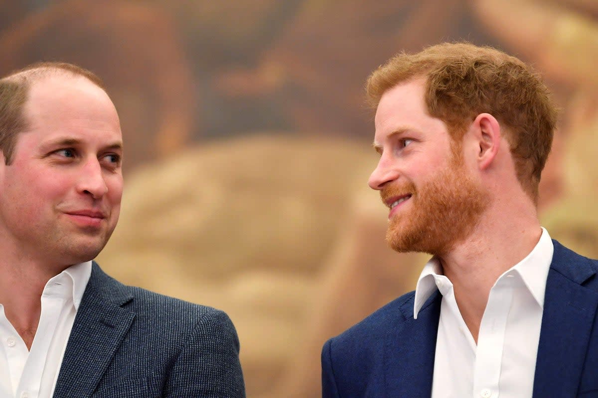 The Duke of Sussex with the branded the Prince of Wales  (PA Archive)