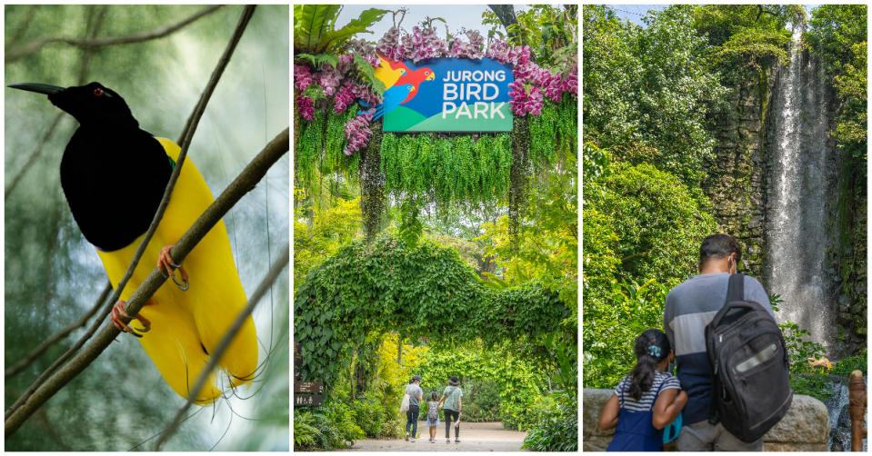 Jurong Bird Park with its avian exhibits (left) and iconic indoor waterfall (right). (PHOTOS: Mandai Wildlife Group)
