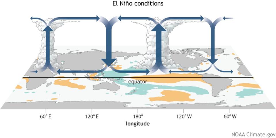A map showing loops, with rising air over the eastern Pacific.